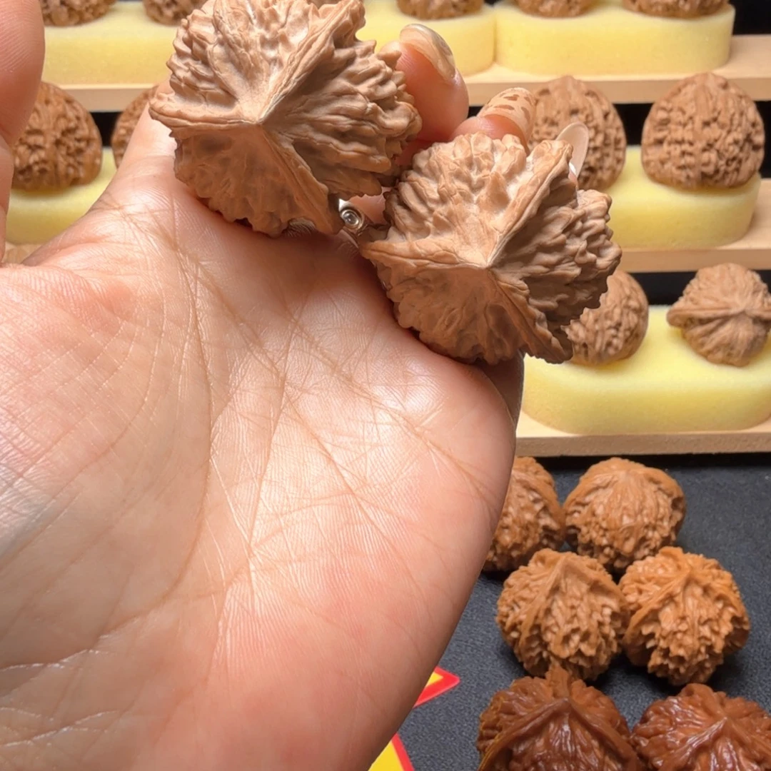 核桃41尺红马蹄三楞