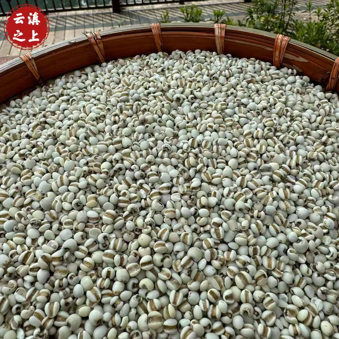 【阿豪精选】 薏米