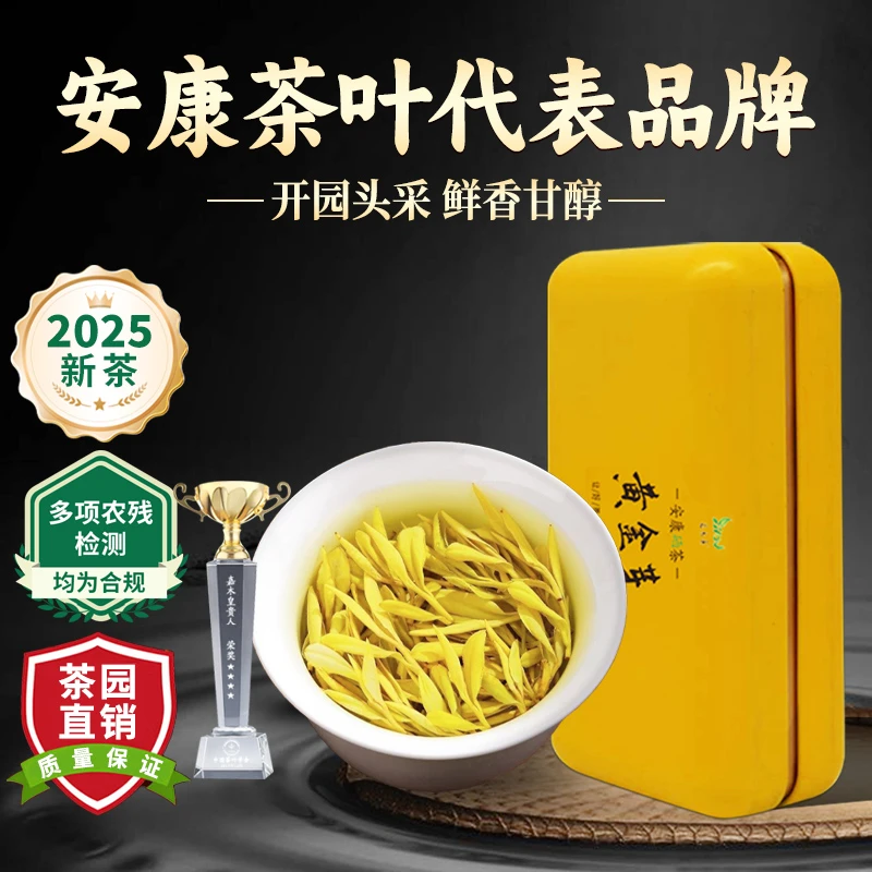 明前黄金茶茶叶嫩芽2025正宗新茶黄茶特级陕西安康富硒地原产
