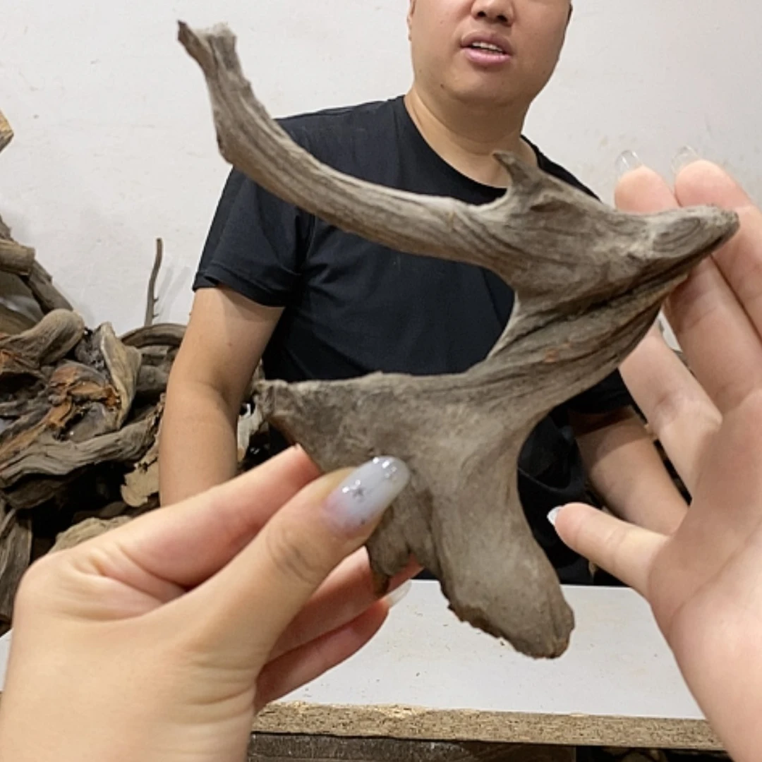 【闪购商品】柏木黑**林我们都是好孩子