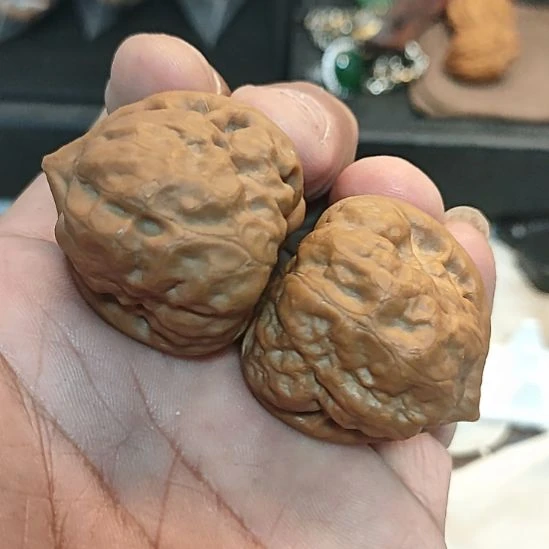 龙脊菩提把件古蟾