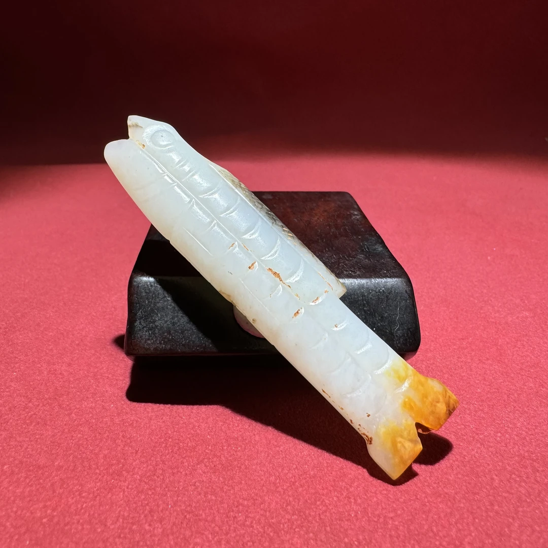 明早期鱼形勒子—HBG128819(福利)