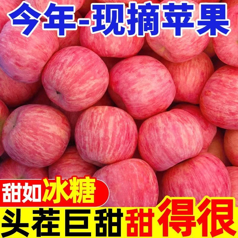 河南灵宝苹果产地直销红富士苹果新鲜苹果10斤脆甜现摘苹果团购价