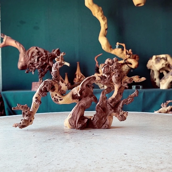 黑果木老**农905 金丝红木羊蹄甲半成品经典款特价