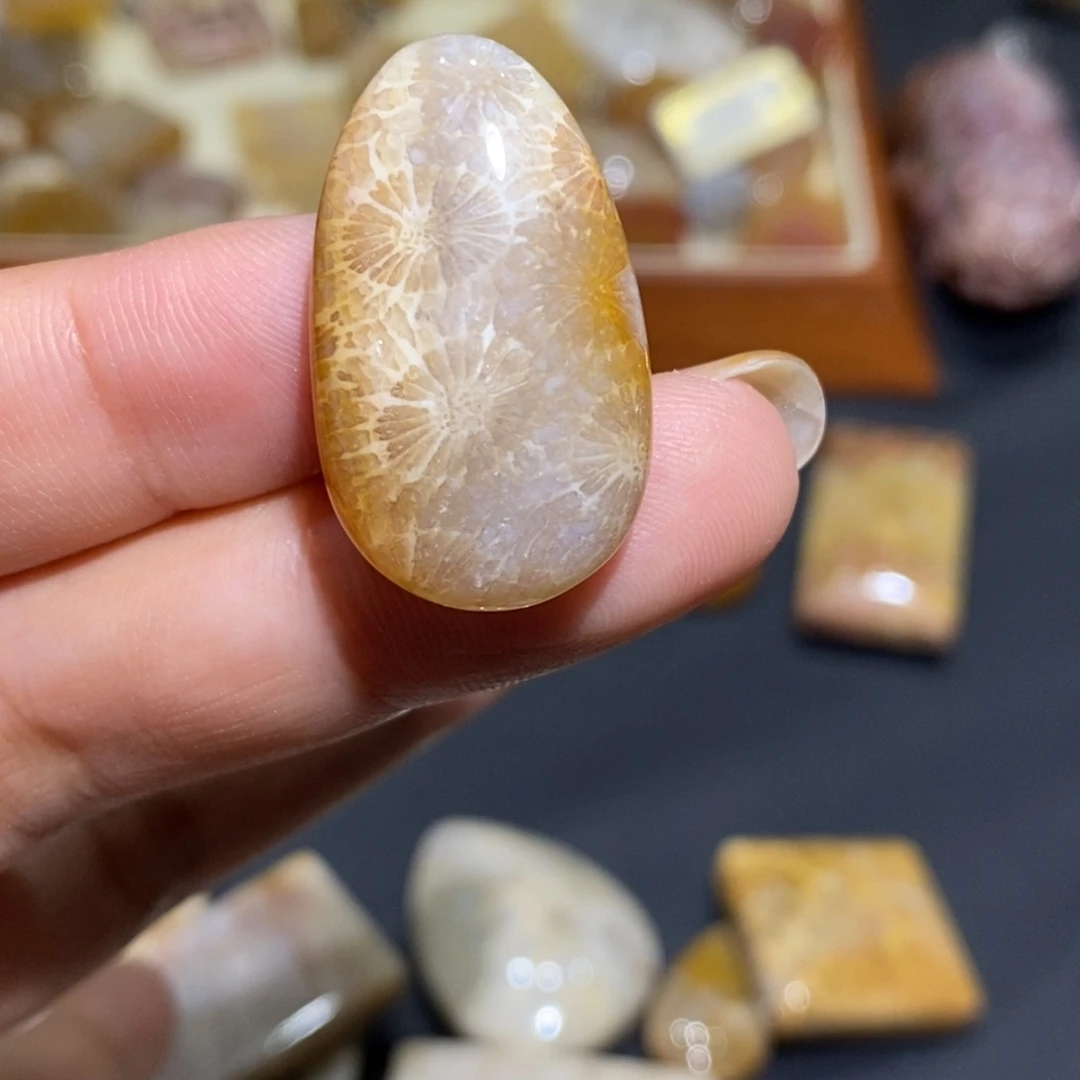【闪购商品】未镶嵌珊瑚玉硅化玉