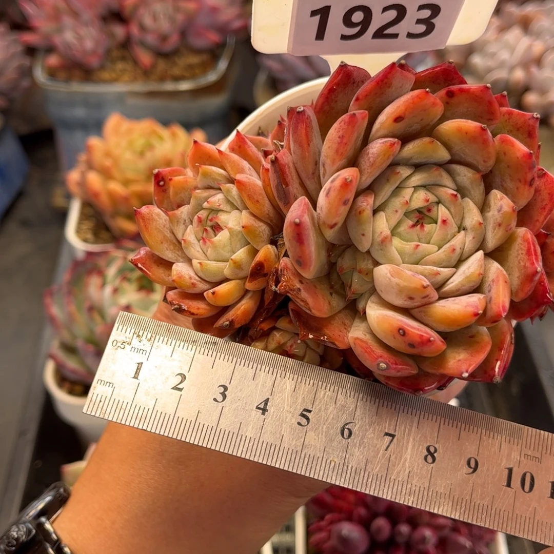 1923 满30包邮天冷必拍保温箱