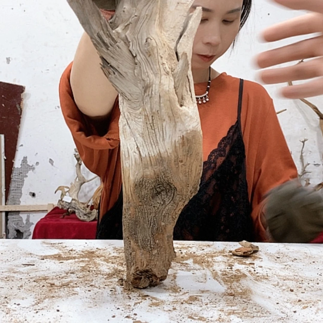 【闪购商品】柏木万***爷我们都是好孩子