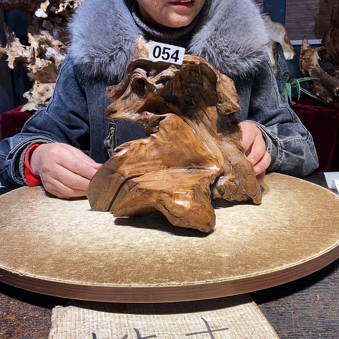 小***艺054。株木随行根艺