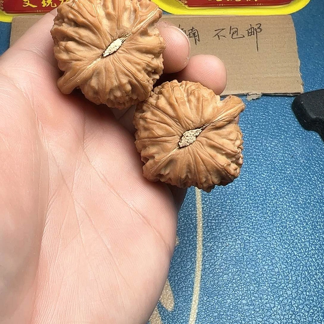文玩核桃把件多****辣40白狮子