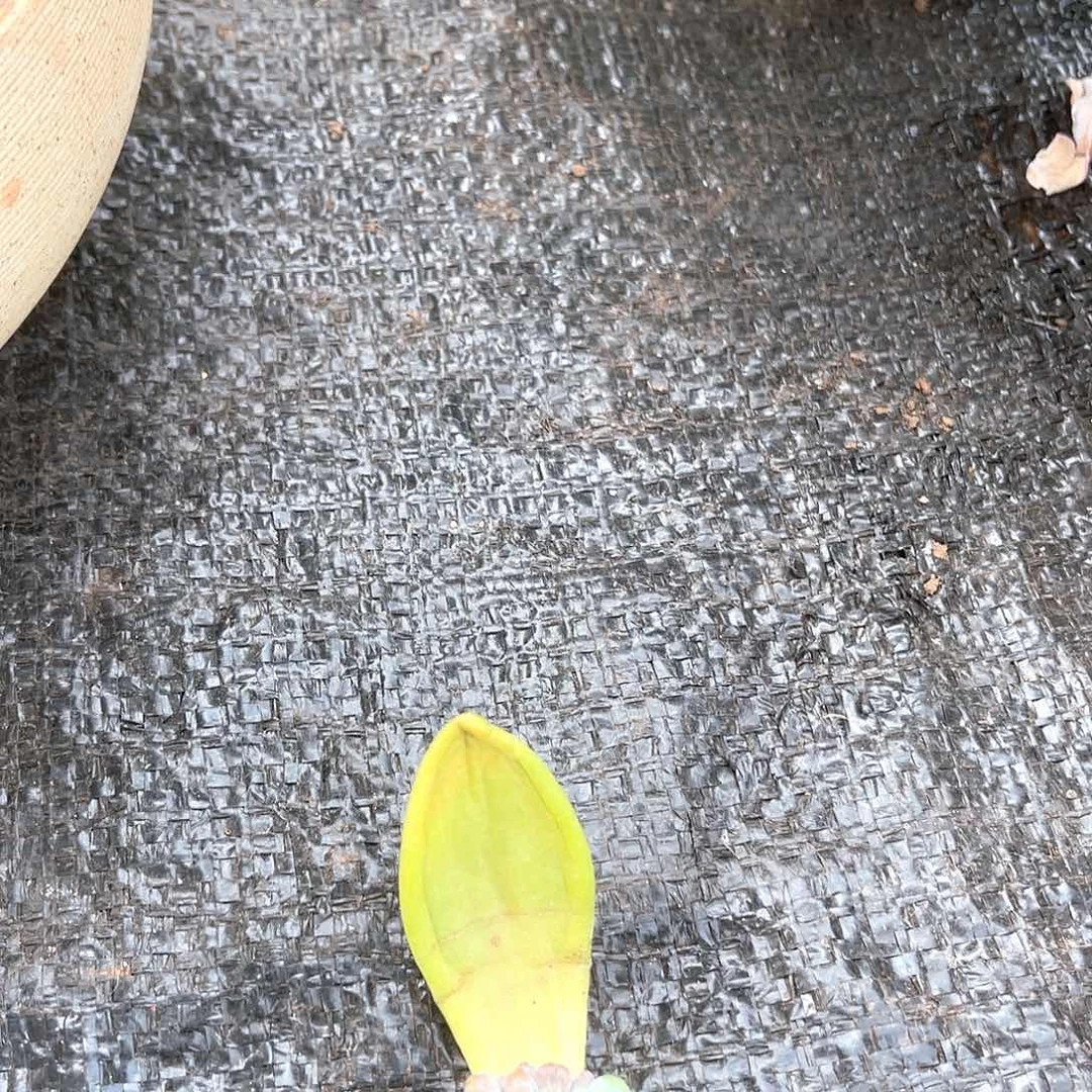 梦***十级福利大群无砍不售后