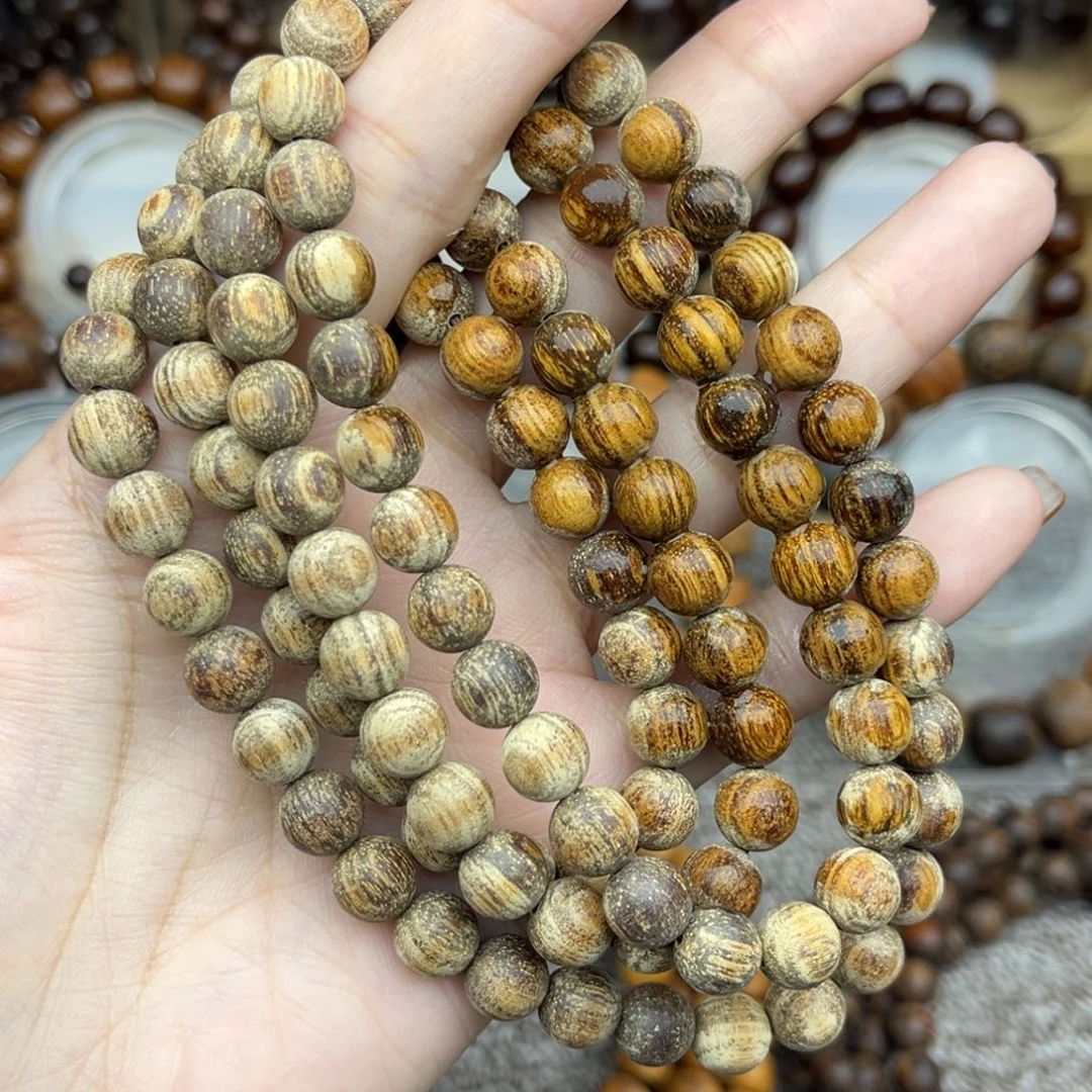 贡木巴布亚0.8 108天眼粗抛