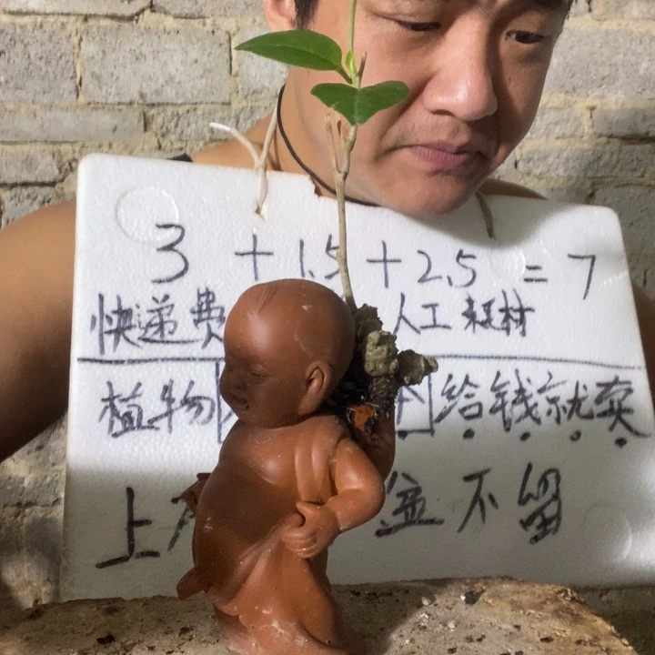 退款拉黑一物一拍301