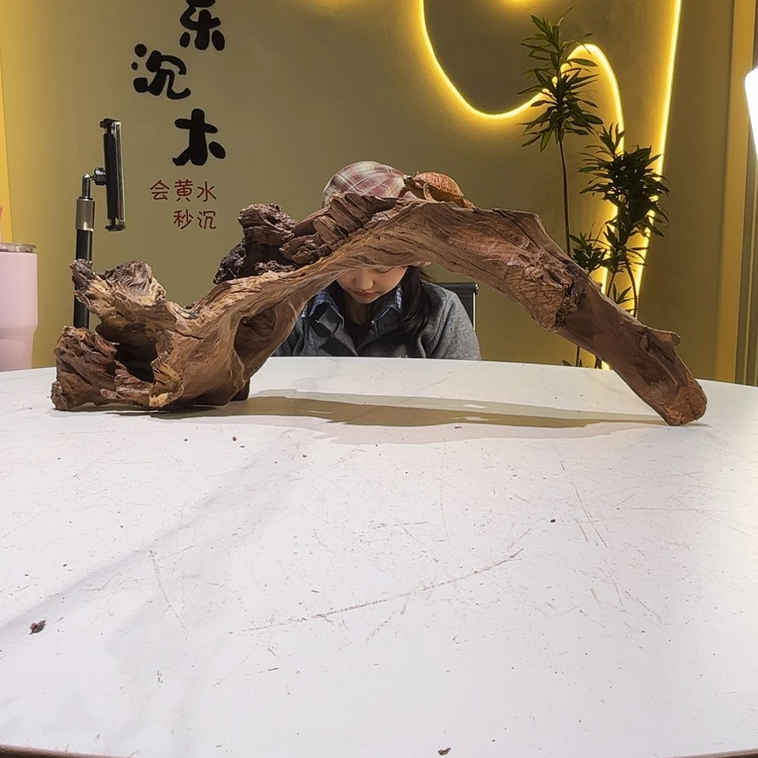 瓦当晨*会黄黑红水013。65 19 19