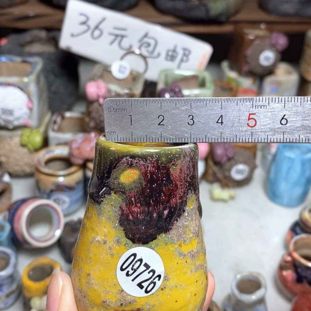 拍5送一个小礼物