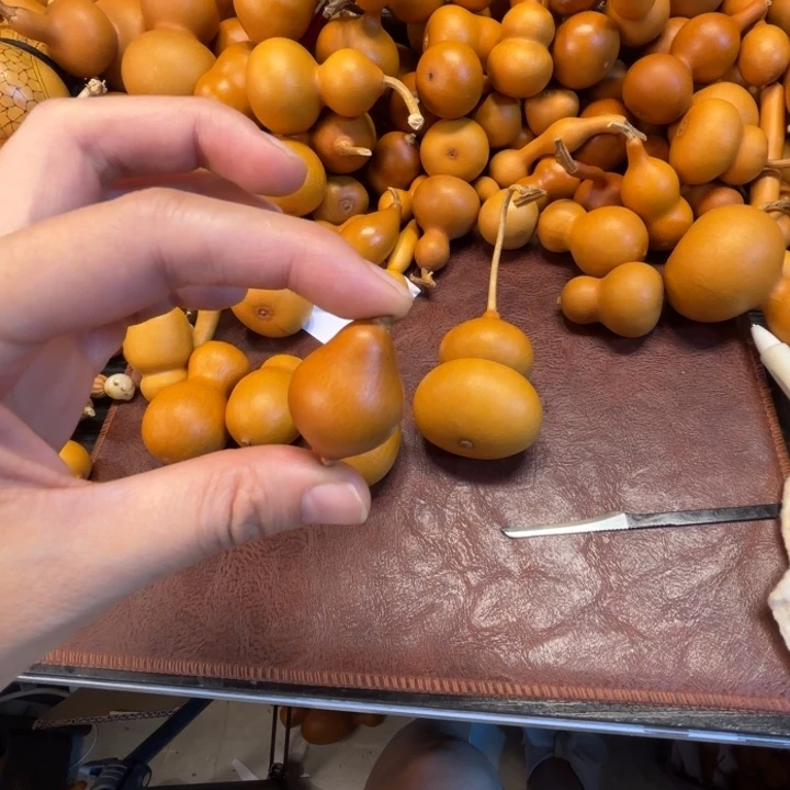 C***…CC的一把钱，小鸟葫芦