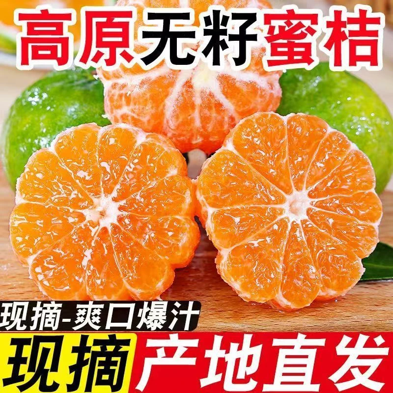 湖北宜昌正宗现摘青皮无籽蜜橘当季新鲜酸甜水果