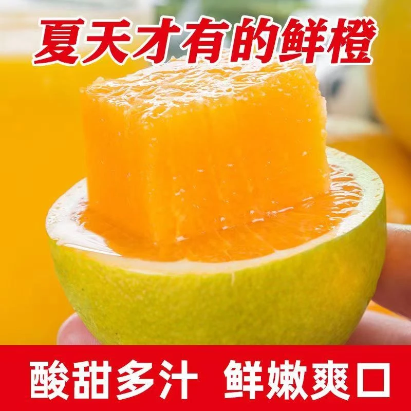 巴东夏橙新鲜爆汁脐橙3-9斤高山种植应季水果微酸皮薄橙味浓郁