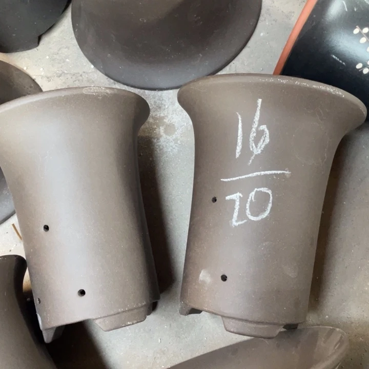 周深周深周深周深