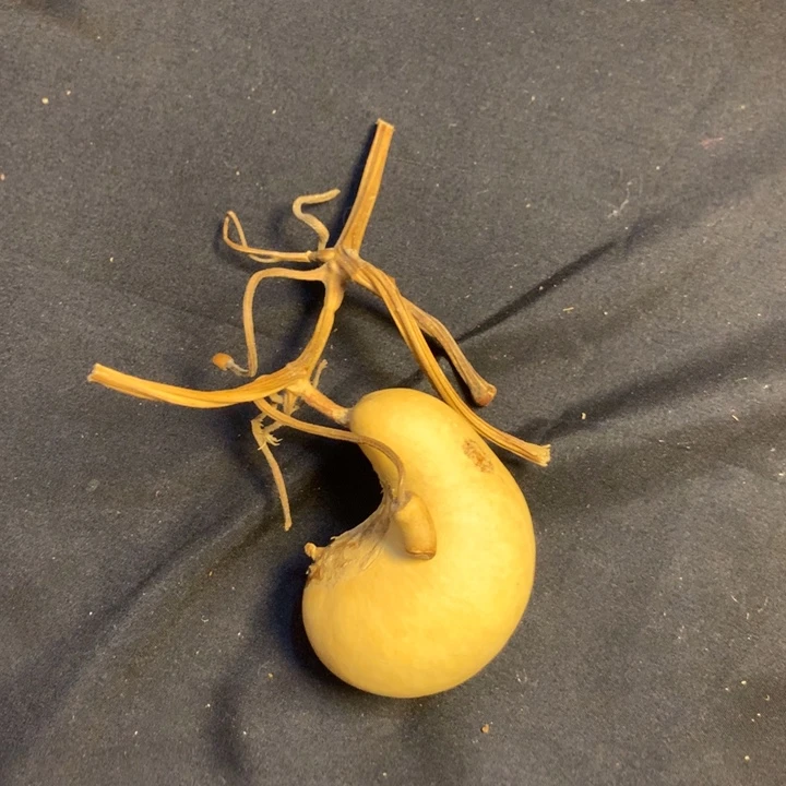 闷***呆银S925葫芦葫芦葫芦
