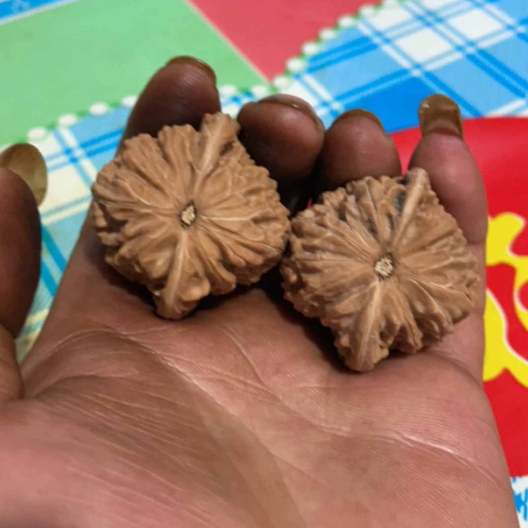 文玩核桃山地磨盘