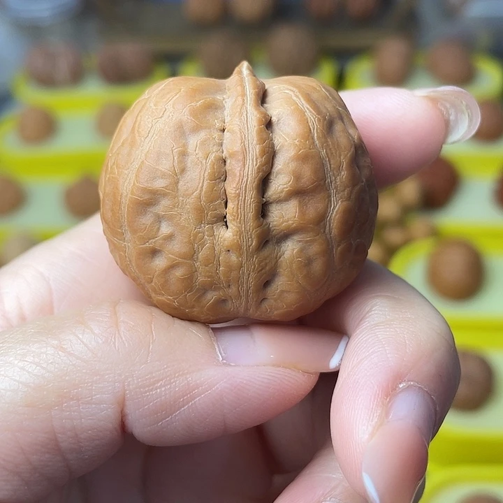 暗***能吊坠文玩核桃单颗元宝