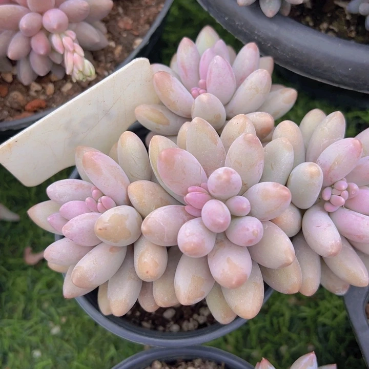 健健康康平平安安