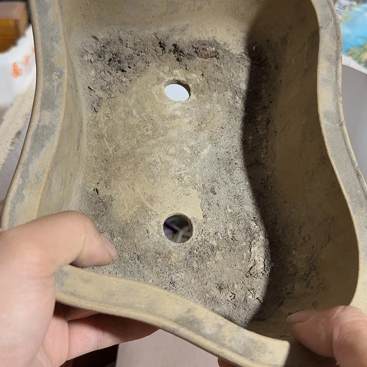 小***建香榧木吃g个v哥哥哥哥vv不会宝贝vv