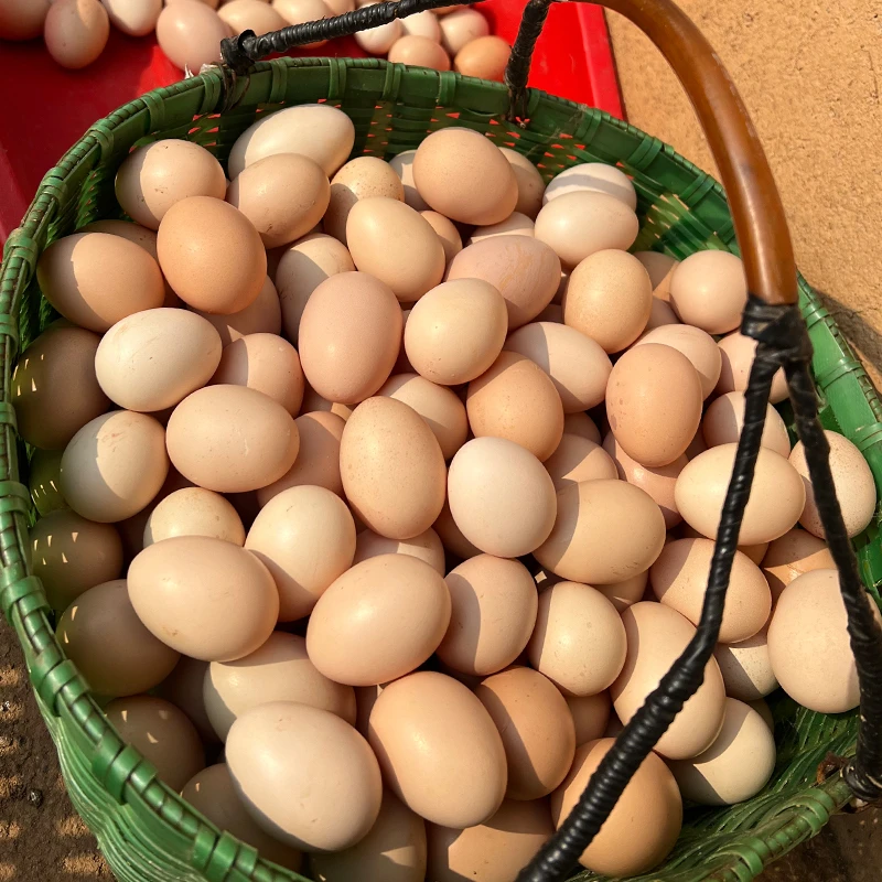 可选50枚/坏了包赔】正宗散养谷物鸡蛋新鲜营养农家土鸡蛋生鲜土货