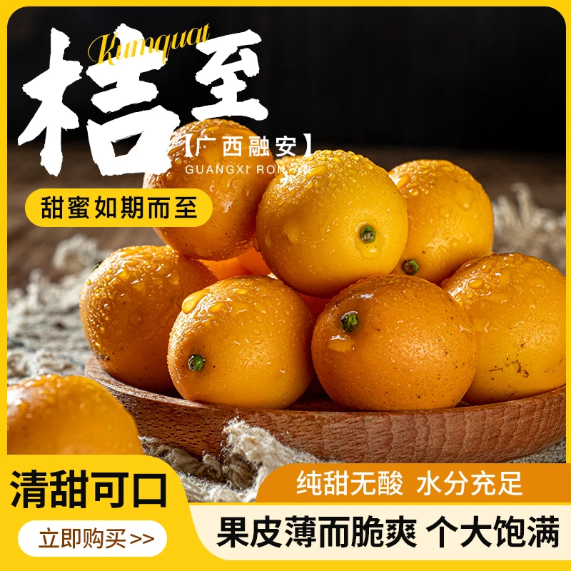 广西融安滑皮金桔当季水果脆皮小金桶纯甜