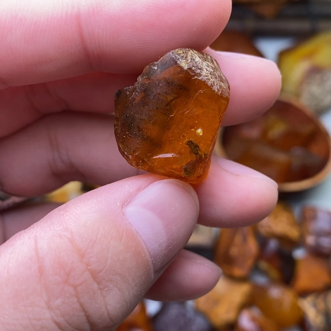 定制琥珀虫珀大虫子嘎嘎大