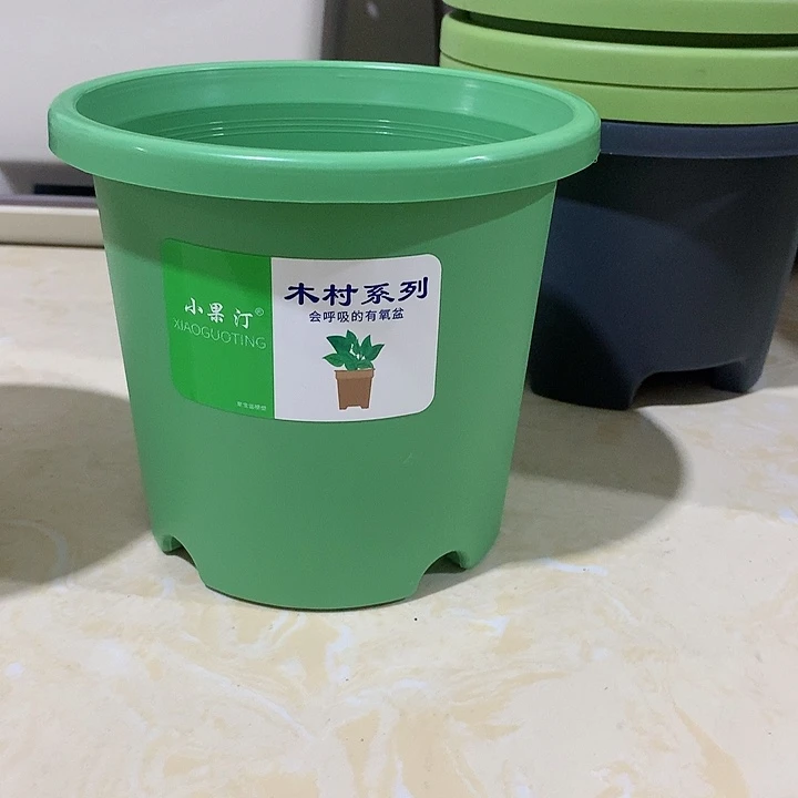 四季口15绿10个无托