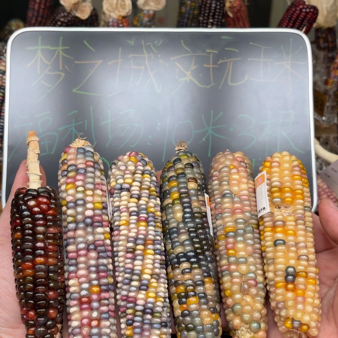 柏香籽/百香籽吊坠川****?