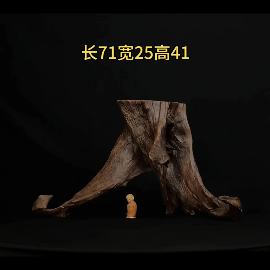 张大狼造景沉木长71cm树桩多枝带平台 龟台鱼缸造景 紫柚木秒沉
