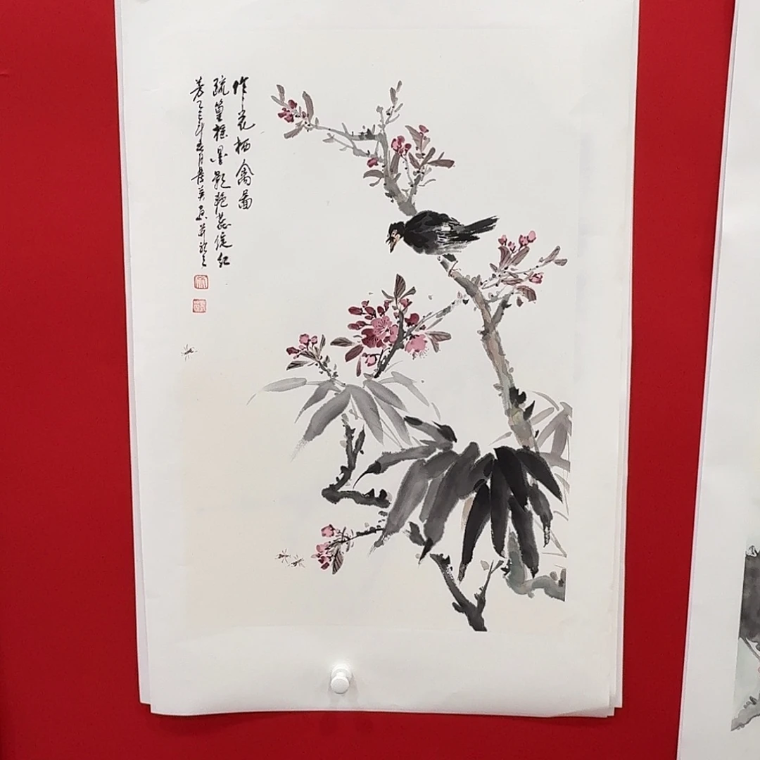 国画新号开播福利多多