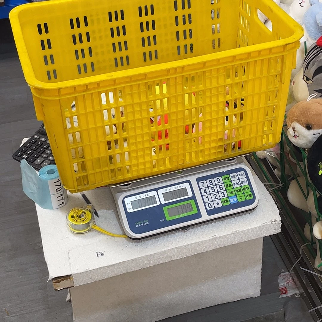 毛绒1700000000000
