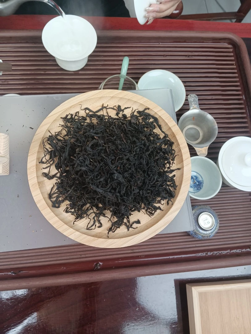 【小余精选】 2023年红茶单株