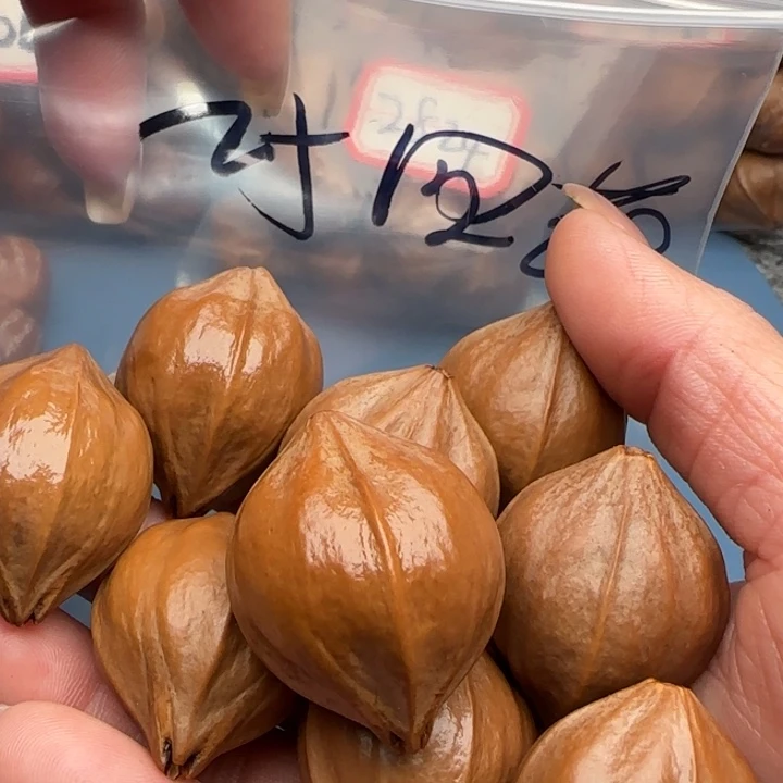 随***欲橄榄核手串橄榄核