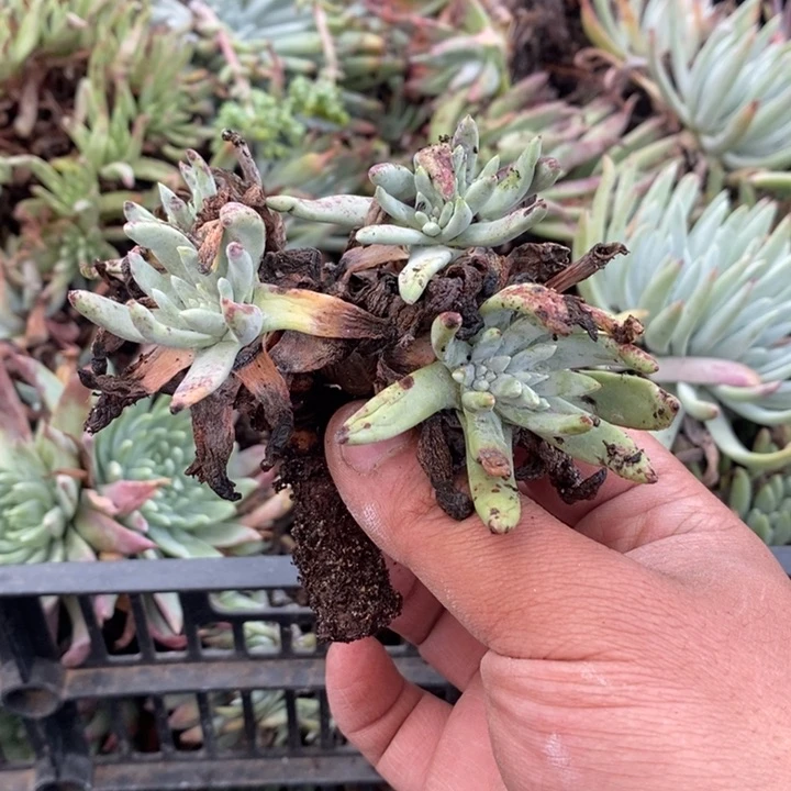 3526哈哈哈哈哈哈哈哈哈