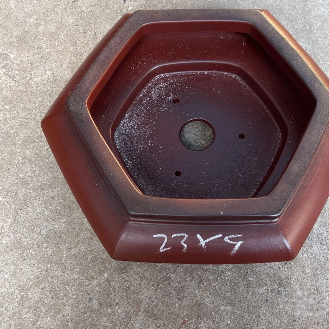 紫砂花盆盆景艺术