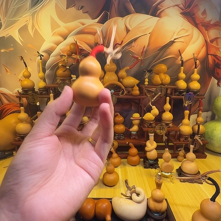 小***菊葫芦葫芦葫芦葫芦