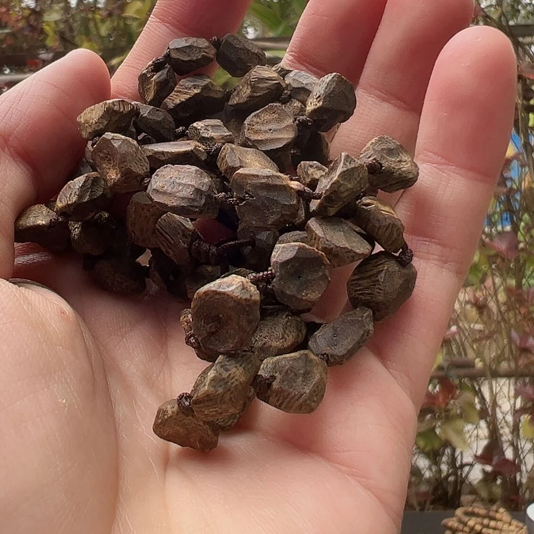 沉香手串用****2沉水树丁多样性发货一条14克➕