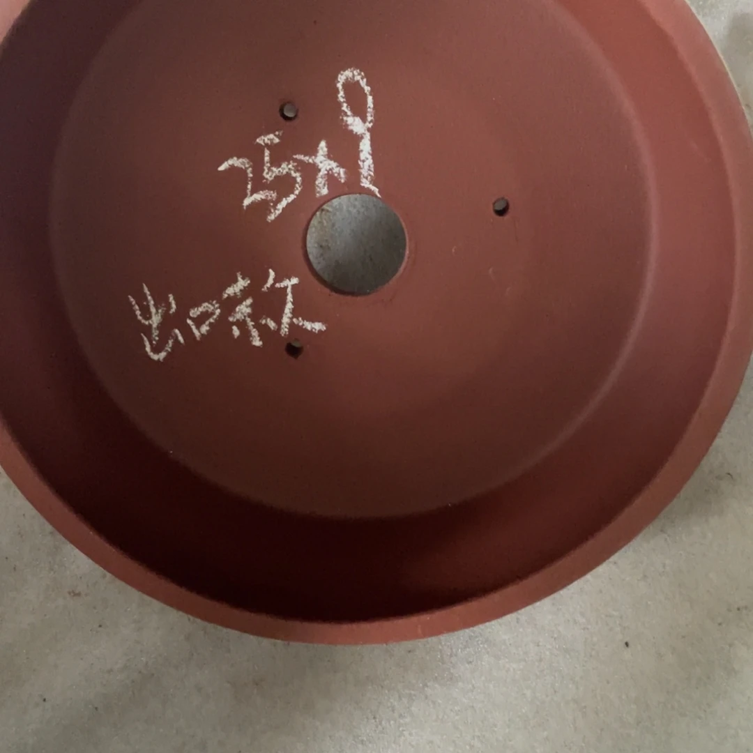 处理大红袍小鼓合计4只