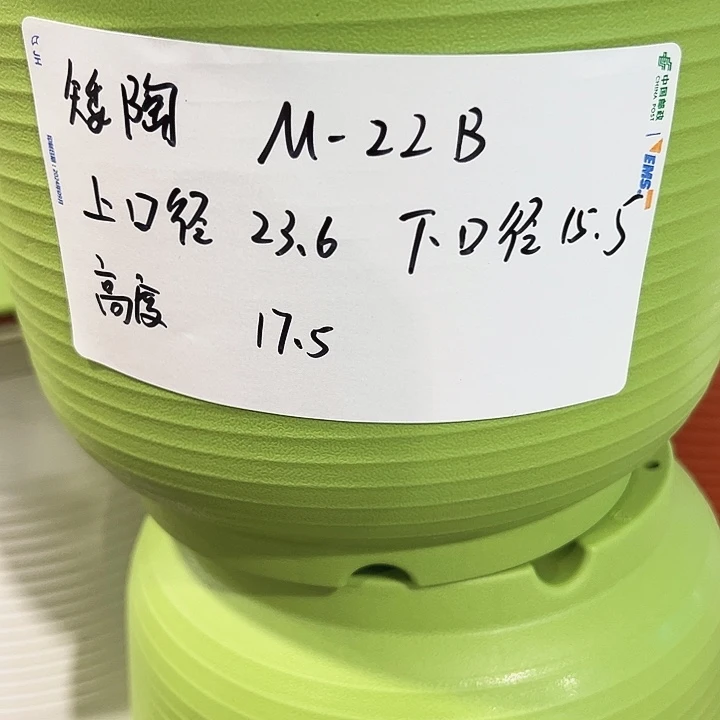 正品矮陶口24高17白色6只无托