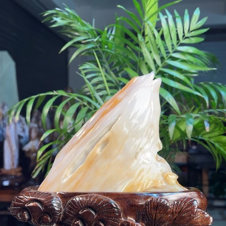 硅化玉（树化玉）未镶嵌珠宝奇石