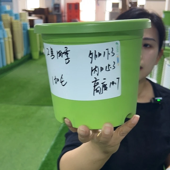 特价2号四季口17.3高14.7果绿无托10只