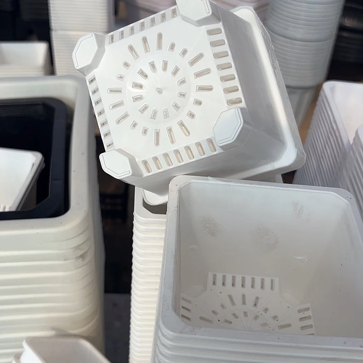 万象120白方盆12个