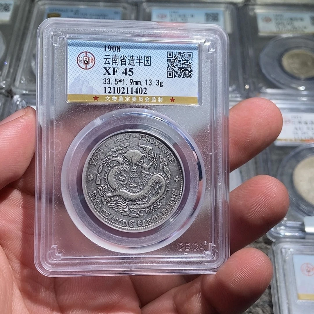 广***记银大头云南老龙一枚1402