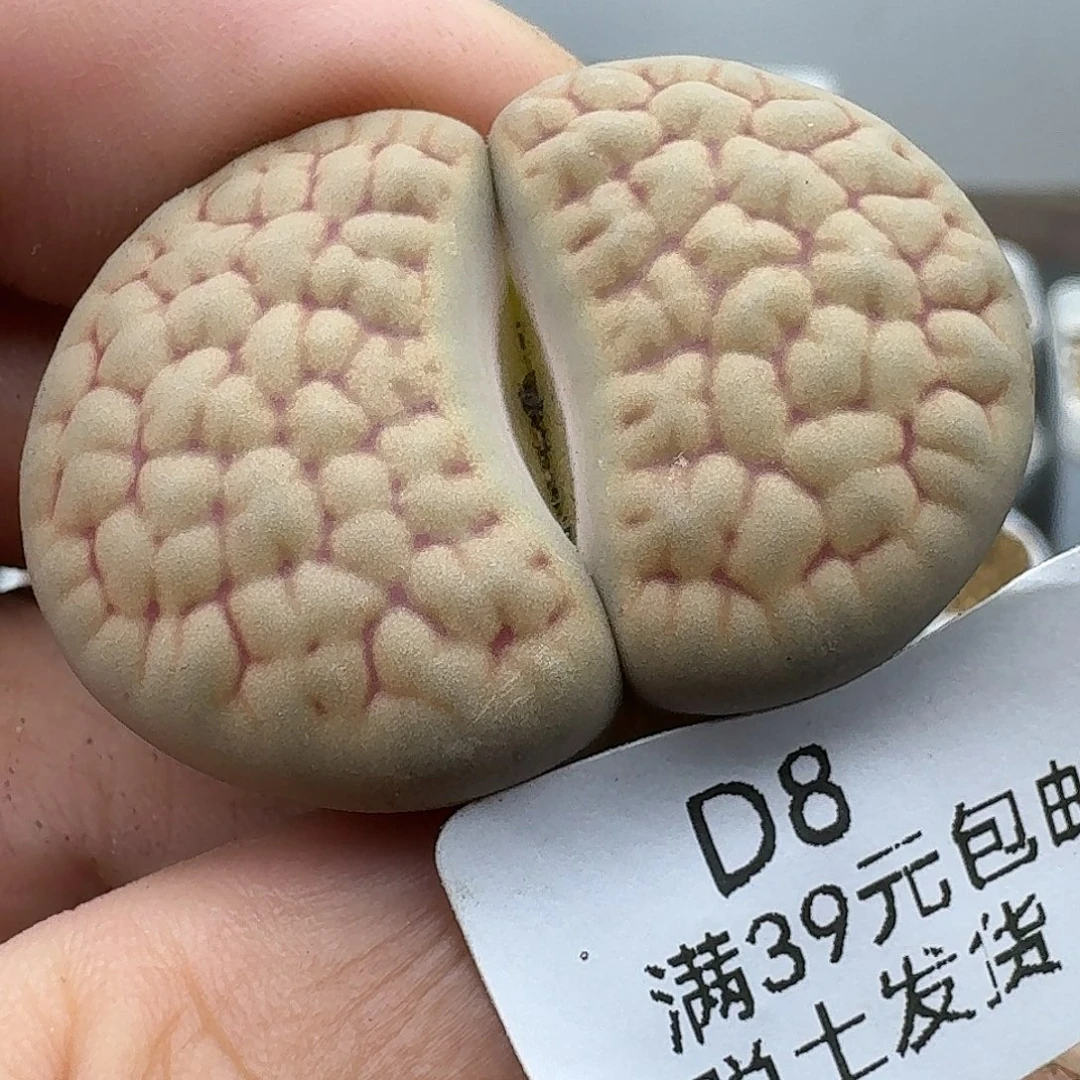 8哈哈哈哈哈哈好吧