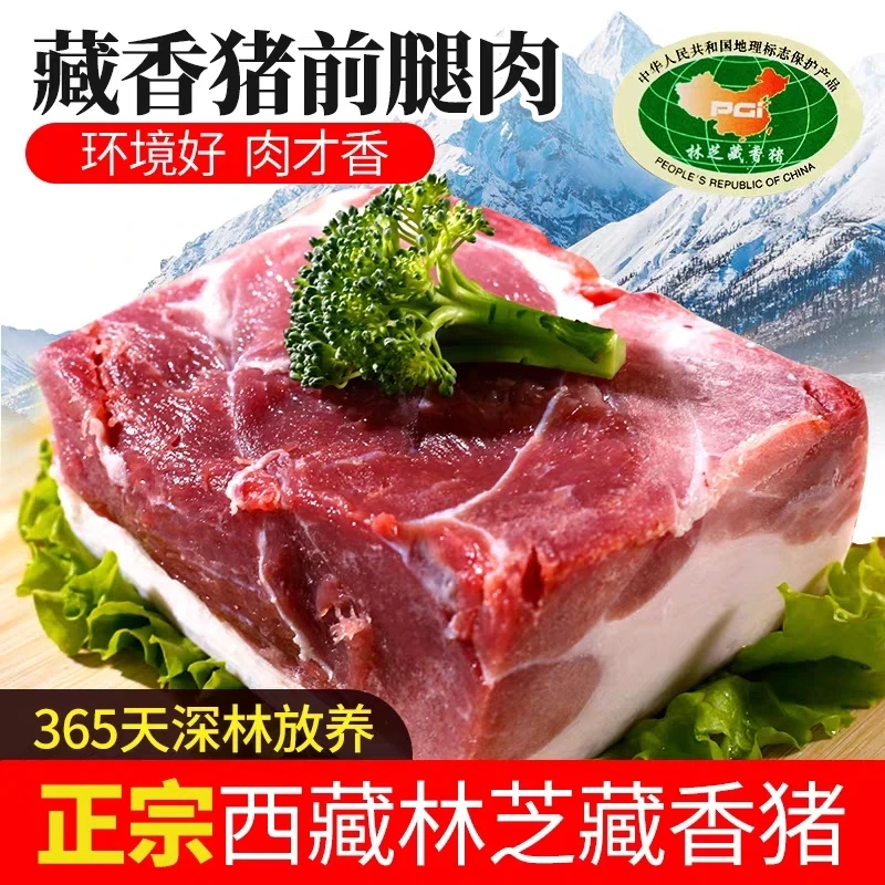 4衡阳山里散养不吃饲料的跑山猪，藏香猪，蕨麻猪肉，无激素粮食喂养