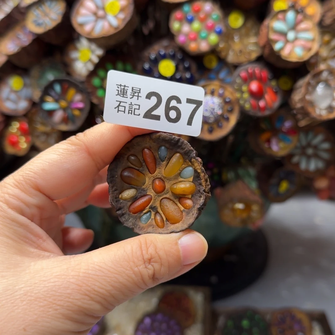 浔***铺核桃木/黑胡桃（胡桃木）267